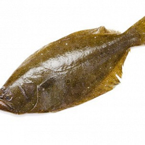 Изображение материала