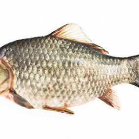 Изображение материала