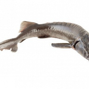 Изображение материала