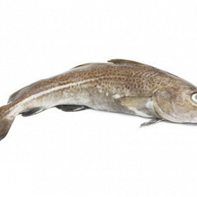 Изображение материала