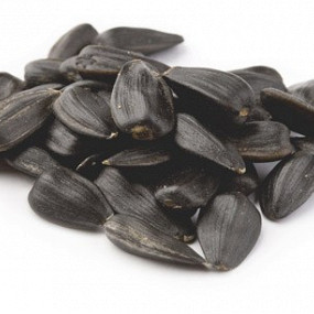 Изображение материала