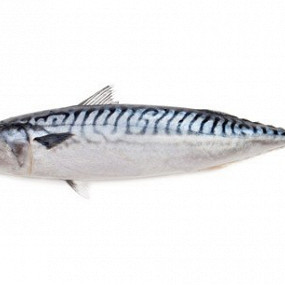 Изображение материала