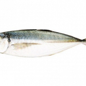 Изображение материала