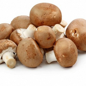 Изображение материала