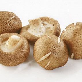 Изображение материала