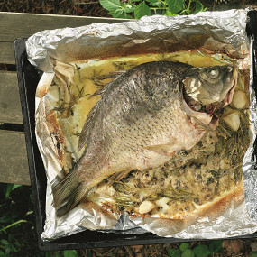 Изображение материала