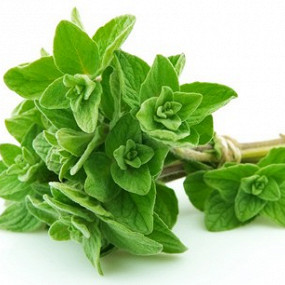 Изображение материала