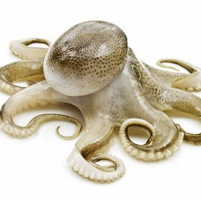 Изображение материала