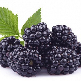 Изображение материала