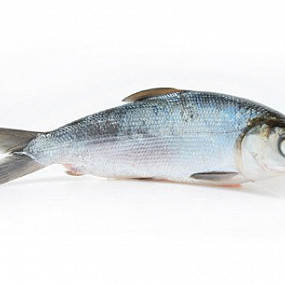 Изображение материала