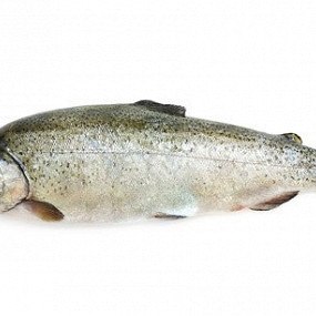 Изображение материала