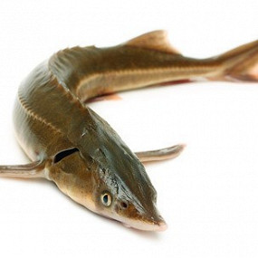 Изображение материала