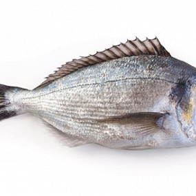 Изображение материала