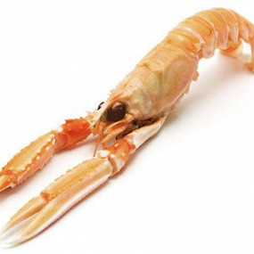 Изображение материала