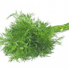 Изображение материала