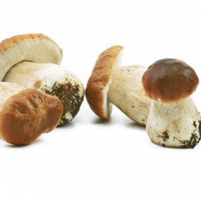 Изображение материала