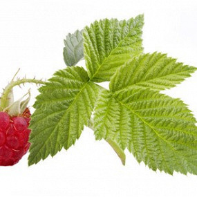 Изображение материала