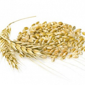 Изображение материала