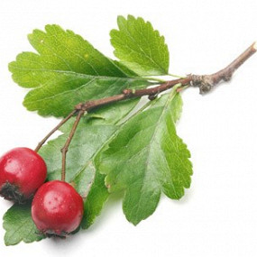 Изображение материала