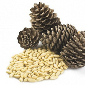 Изображение материала