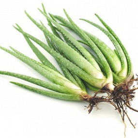 Изображение материала