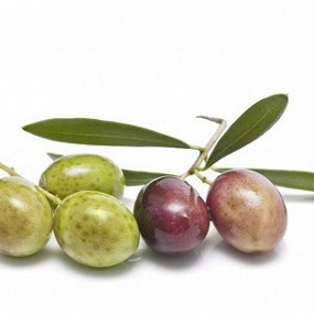 Изображение материала