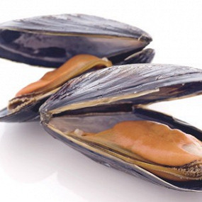 Изображение материала