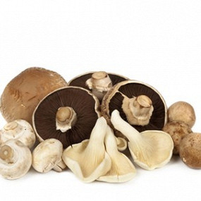 Изображение материала