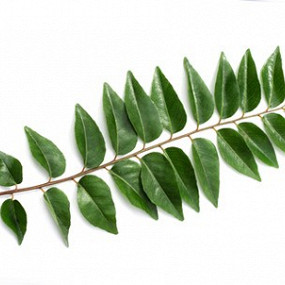 Изображение материала