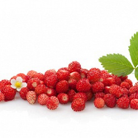 Изображение материала