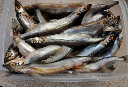 Фото шага рецепта Жареная мойва 191591 шаг 2  