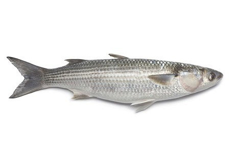 Изображение материала