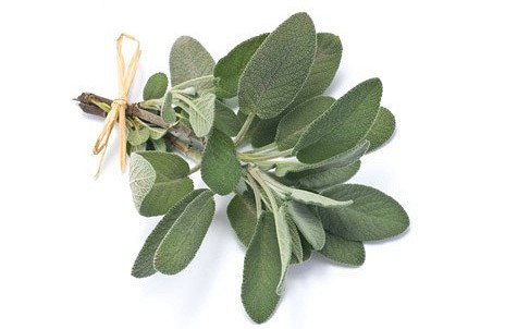 Изображение материала