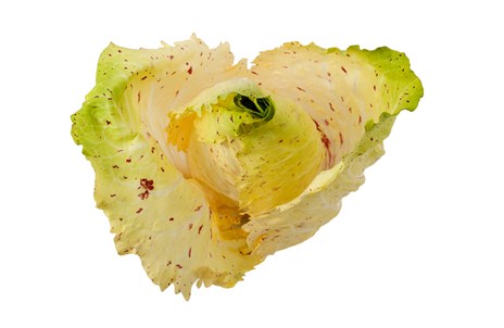 Изображение материала