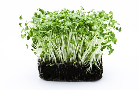 Изображение материала