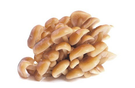 Изображение материала