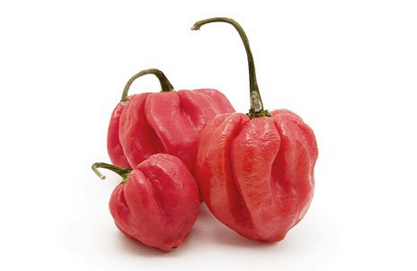 Изображение материала