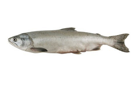 Изображение материала