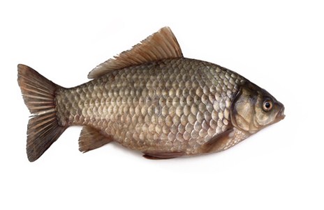 Изображение материала