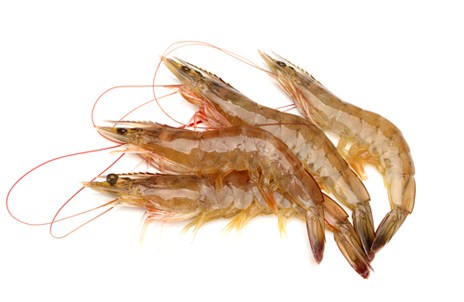 Изображение материала