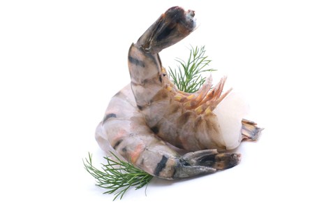 Изображение материала