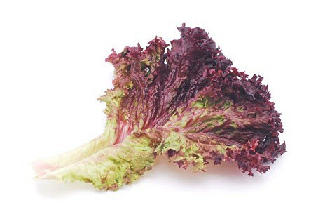 Изображение материала