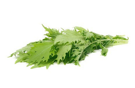 Изображение материала