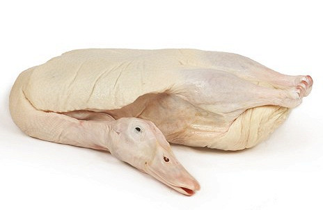 Изображение материала