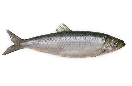 Изображение материала