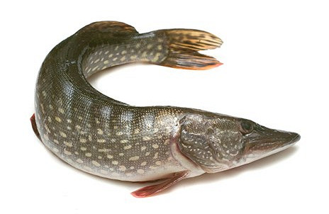 Изображение материала