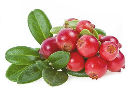 Изображение материала