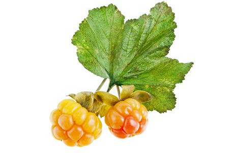 Изображение материала