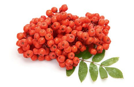 Изображение материала