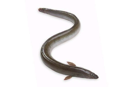 Изображение материала